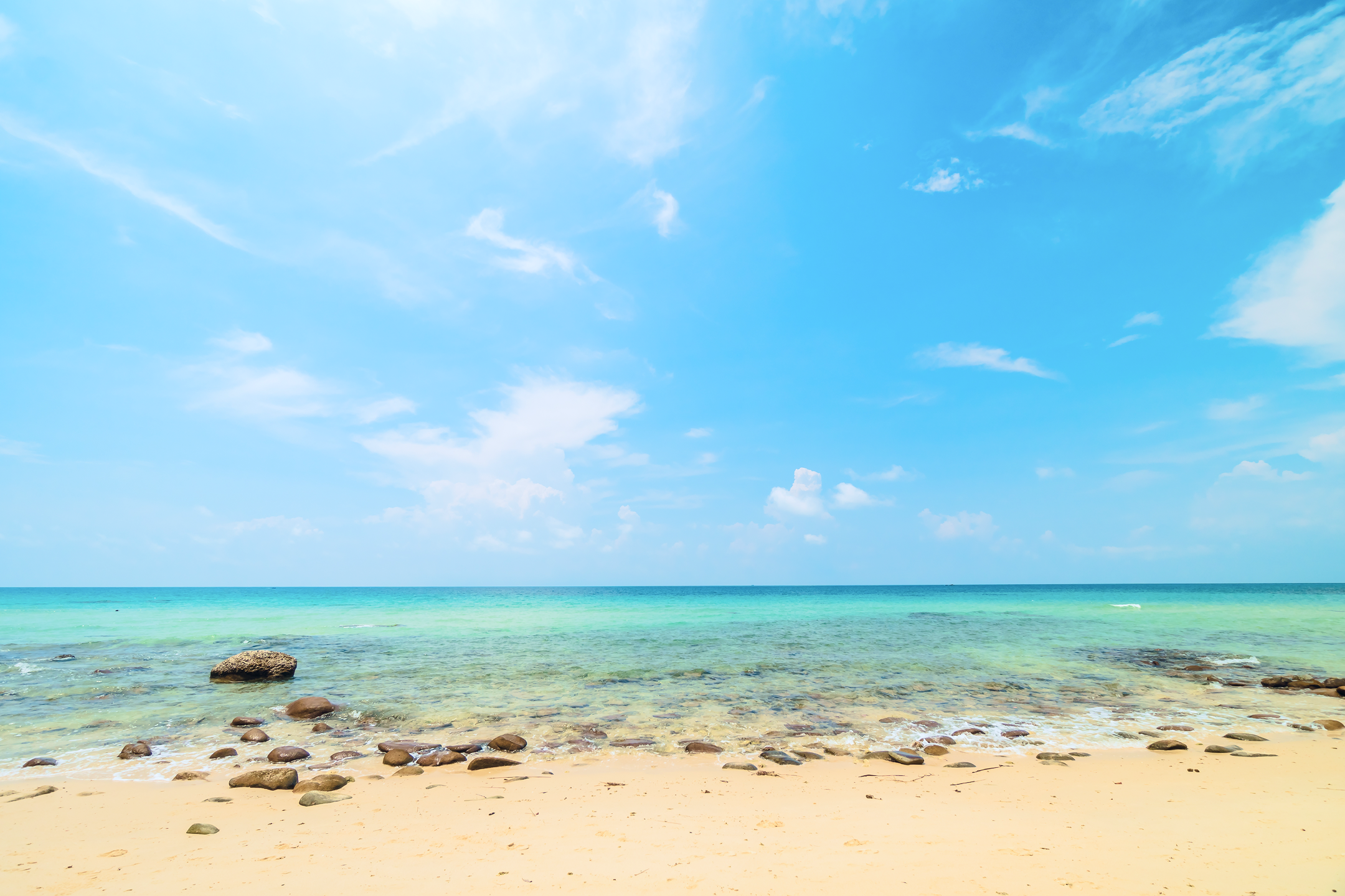 sample Text sample Text sample Text sample Text sample Text 